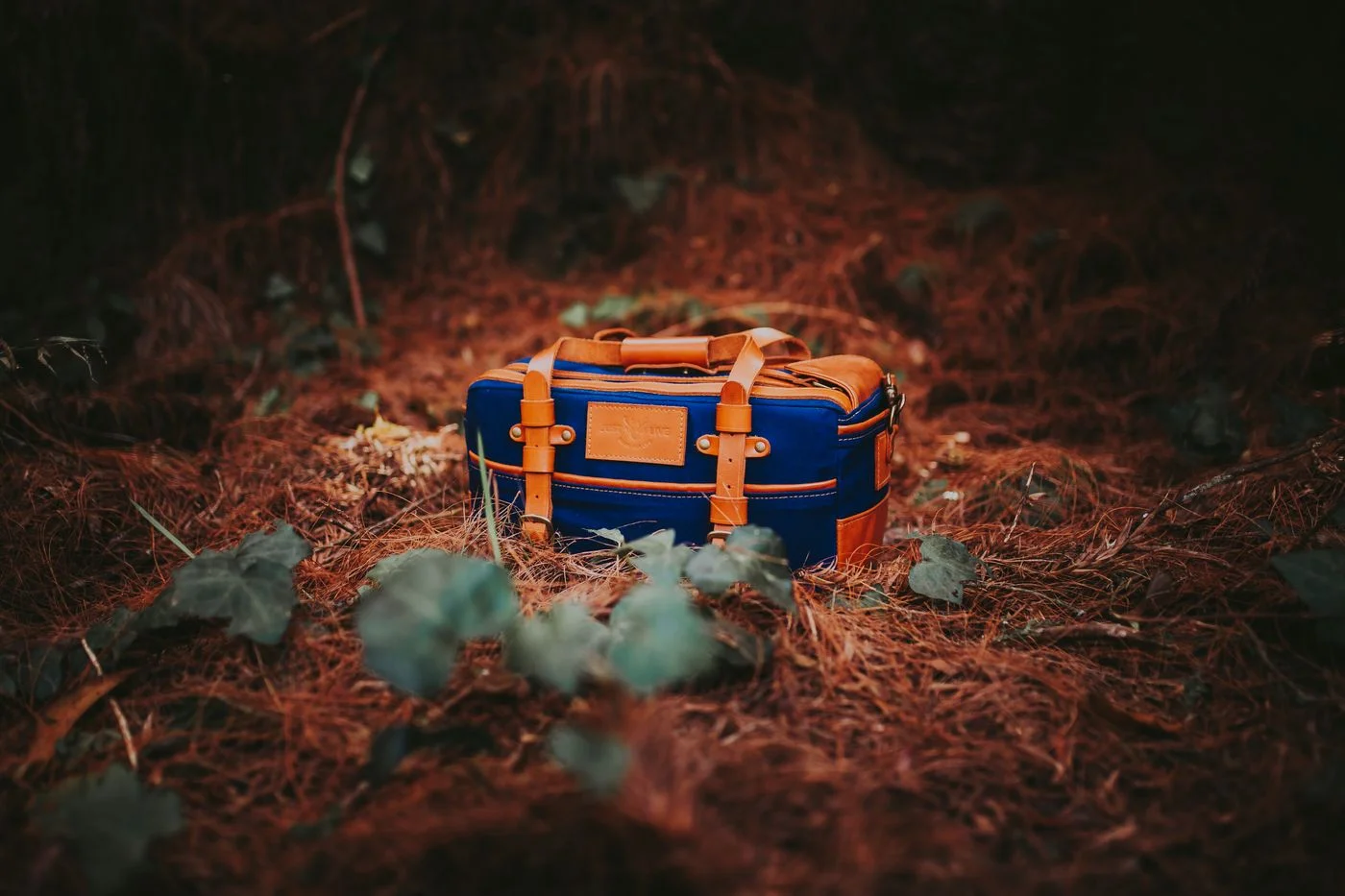 Photograph of a Duffel Bag on the Ground