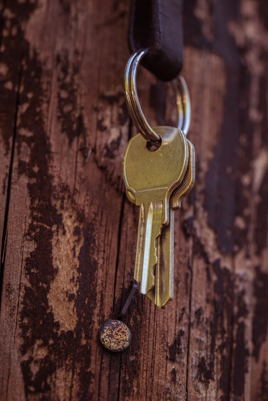 Keys attached to a keychain