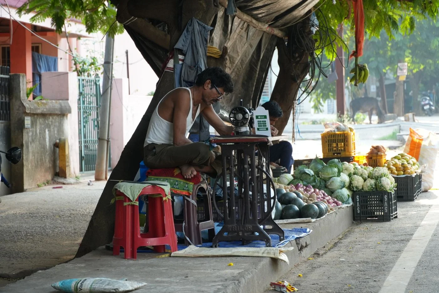 Street Tailor Working Beside Fresh Produce Market
